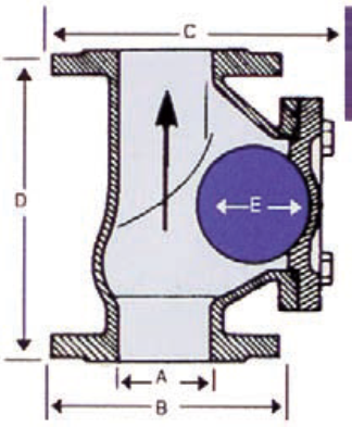 Example of a Ball Check Valve